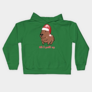 Ok I Pull Up Christmas Capybara Kids Hoodie